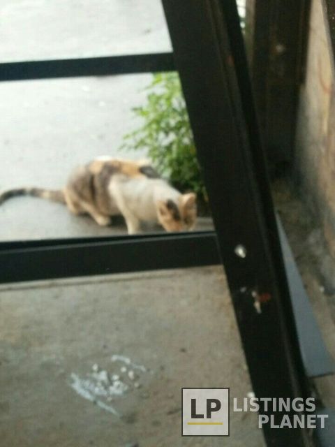 Marly Building Supply