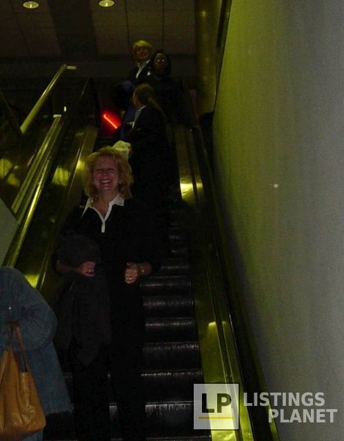 American Limousine, LLC