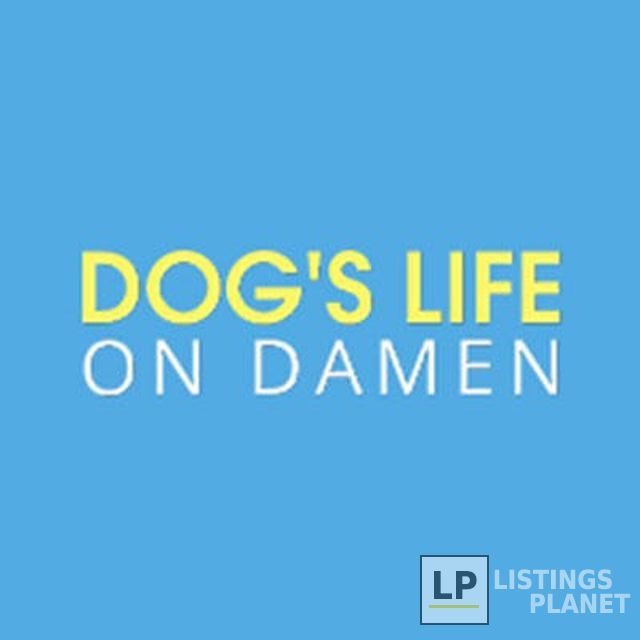 Dog's Life On Damen