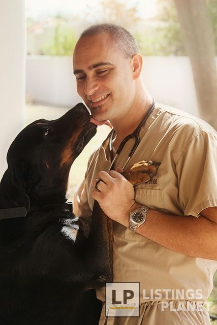 Happy Endings In-Home Pet Euthanasia