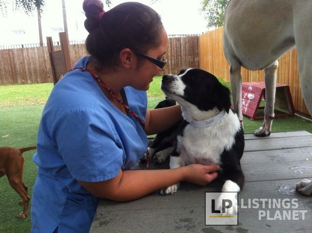Rutherford Veterinary Hospital