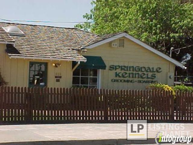 Springdale Kennels