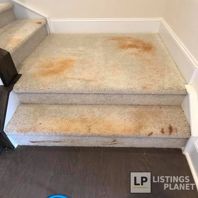 TNT Specialty Cleaning, Inc.