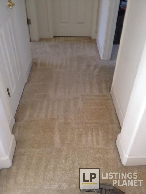 All green carpet clean