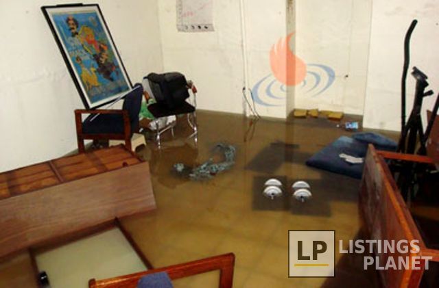 Professional; Restoration