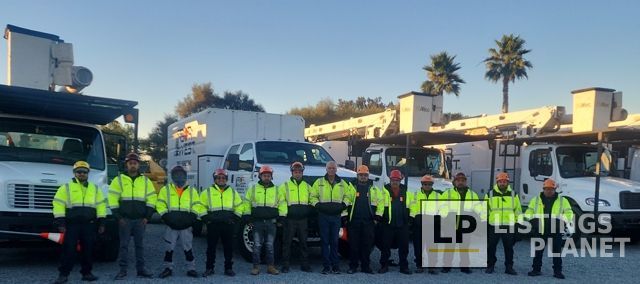 Arbor West Tree Surgeons Inc