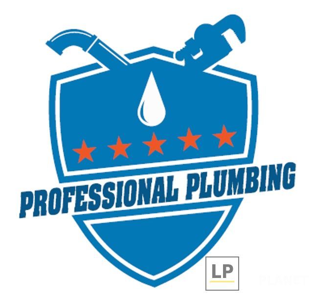 Professional Plumbing