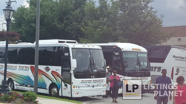 David Tours and Travel